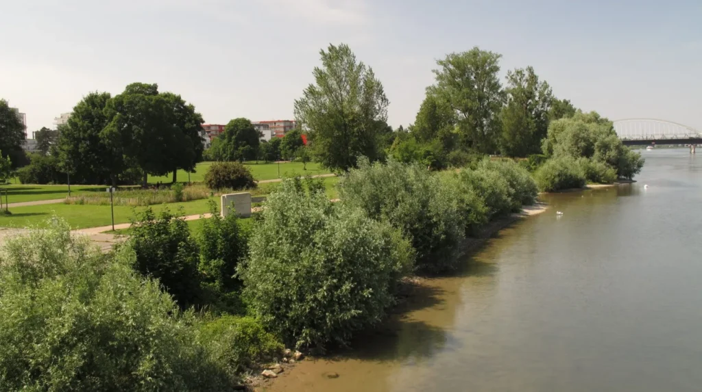 Le Rhin