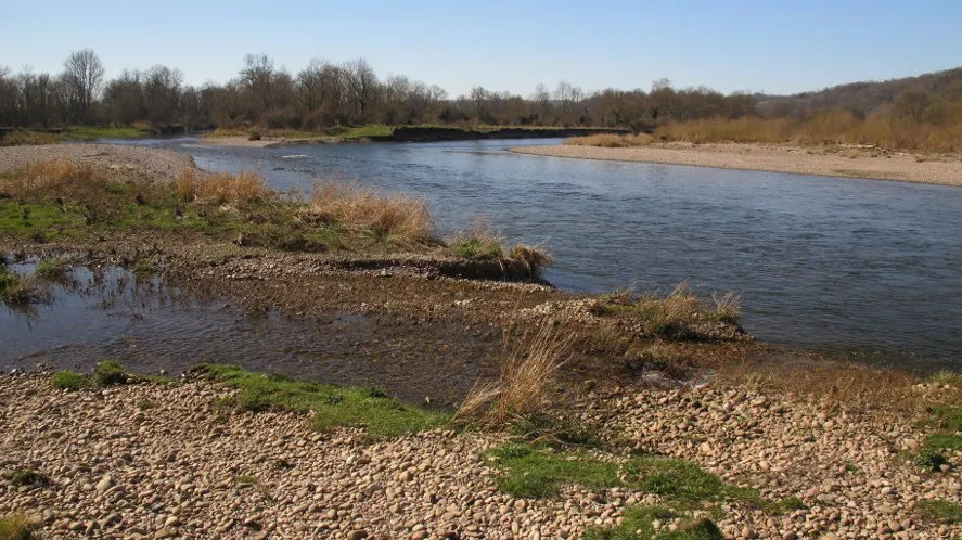 La Moselle sauvage