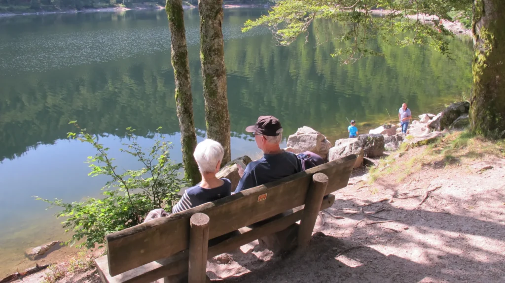 Projet Mentaleau Personnes Assises Lac Sur Site 1024x575