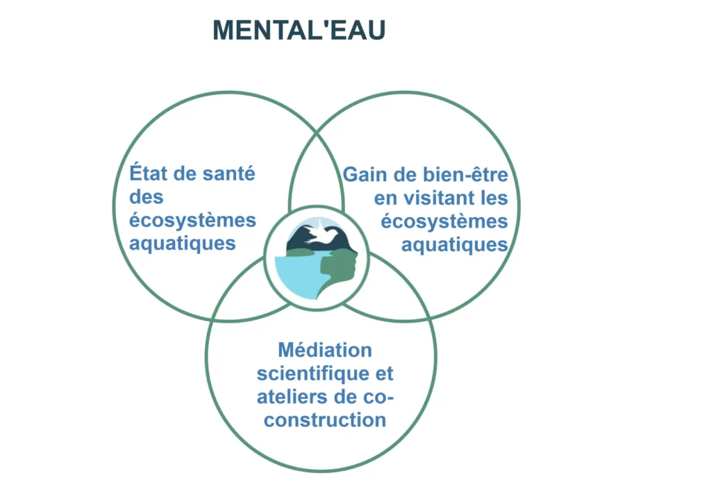 Schéma présentant les interactions entre l'état de santé des écosystèmes aquatiques, le bien-être des usagers et leur fréquentation.