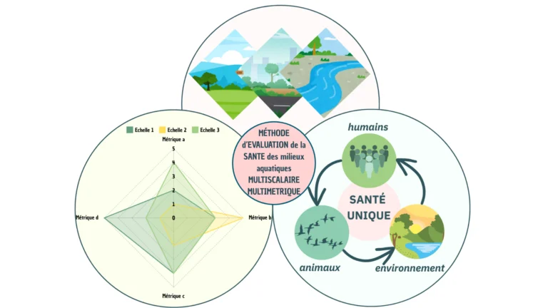 Schéma présentant une méthode d’évaluation multiscalaire et multimétrique de la santé des milieux aquatiques, avec un graphique de plusieurs métriques et un lien avec la santé unique entre humains, animaux et environnement.
