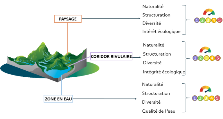 Schéma d’évaluation écologique des milieux aquatiques selon trois échelles : paysage, corridor rivulaire et zone en eau. Chaque niveau est analysé selon plusieurs critères, puis noté de 1 à 5.