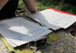 Des documents d'étude disposés sur une table en perre en extérieur